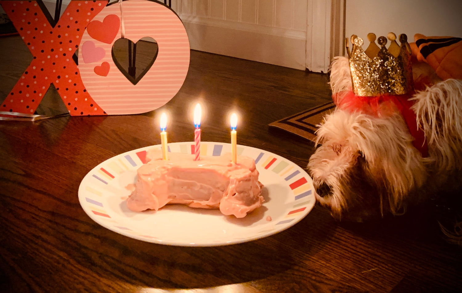 Birthday Paw-ty Boxes